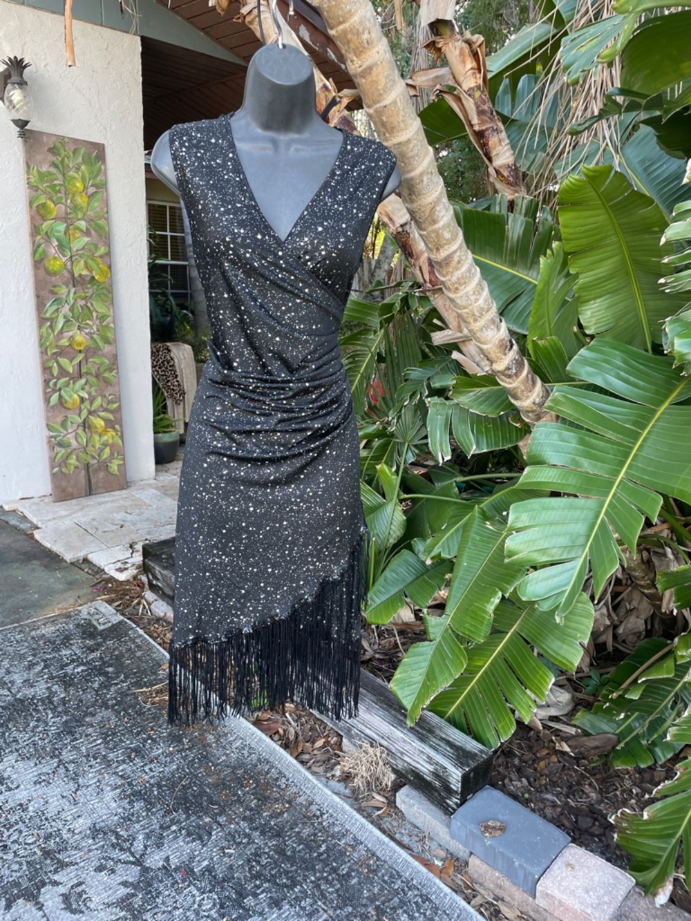 Silver platter, polkadots and fringe sequin trim dress